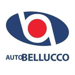 Auto Bellucco Automobili, Casalserugo orari di apertura