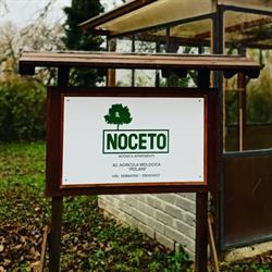 Il Noceto Ristorante Pizzeria, Cave orari di apertura
