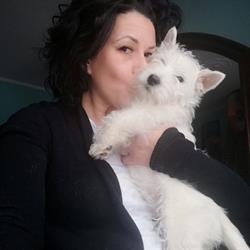 Love Pet Toelettatura e Spa, Vezza d'Alba orari di apertura