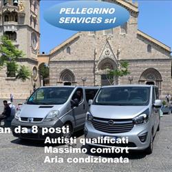 Pellegrino Services Tour e Transfer, Messina orari di apertura