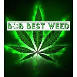 Bob Best Weed, Rimini orari di apertura