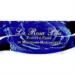 La Rosa Blu Fiori e Piante, Melicucco orari di apertura