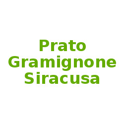 Prato Gramignone Siracusa, Pachino orari di apertura