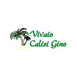 Calisi Gino Vivaio, Rutigliano orari di apertura