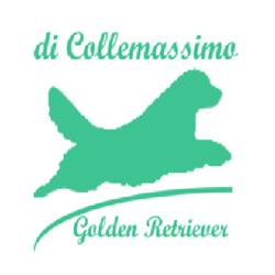 Allevamento Colle Massimo, Zagarolo orari di apertura