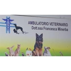 Minerba Dott.ssa Francesca Veterinario - Si Riceve Anche su Appuntamento, Tuglie orari di apertura