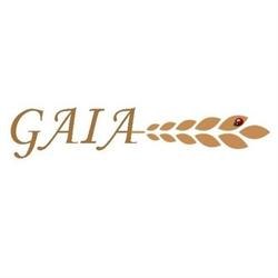 Tradizioni di Gaia, Padova orari di apertura