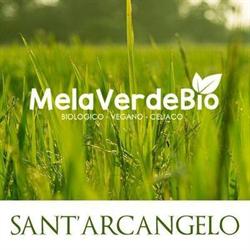 Melaverdebio, Sant'Arcangelo orari di apertura