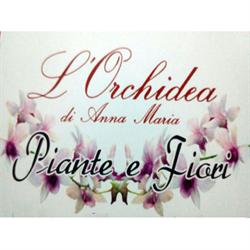 L’Orchidea di Zinchiri Anna Maria, Berchidda orari di apertura