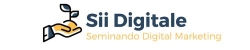 Sii Digitale, Quarto orari di apertura