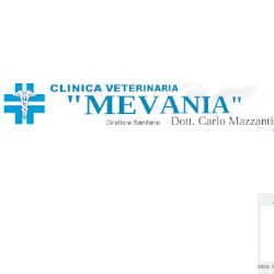 Clinica Veterinaria Mevania, Bevagna orari di apertura