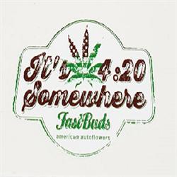 Hemp Square, Roma orari di apertura