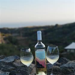 Azienda Agricola Specchio, Campobello di Licata orari di apertura