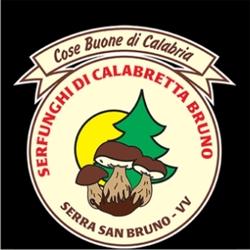 Serfunghi, Serra San Bruno orari di apertura