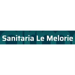Ortopedia Sanitaria Le Melorie, Ponsacco orari di apertura