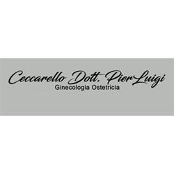 Studio Dott. Pierluigi Ceccarello, Gorizia orari di apertura