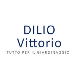 Dilio Vittorio, Bagnoregio orari di apertura