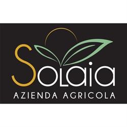 Solaia Azienda Agricola, Montespertoli orari di apertura