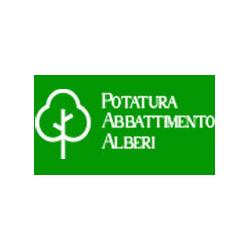 Ambrosini MultiServizi, Montopoli in Val d'Arno orari di apertura