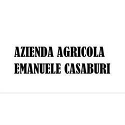 Azienda Agricola Casaburi - Legna da Ardere, Baronissi orari di apertura