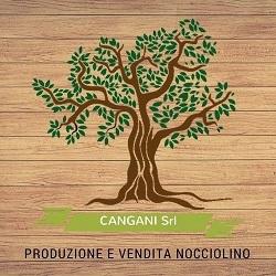 Cangani Srl, Squinzano orari di apertura