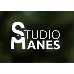 Studio Manes Stp Srl, Sanremo orari di apertura
