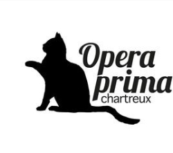 Opera Prima, Velletri orari di apertura