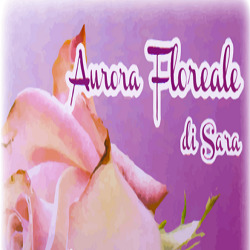 Aurora Floreale, Busca orari di apertura