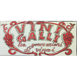 Vini Galli Nico, Viareggio orari di apertura