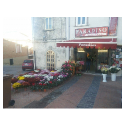 Recchia Rosa, Volturino orari di apertura