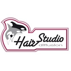Hair Studio di Menzaghi Roberto, Sesto Calende orari di apertura