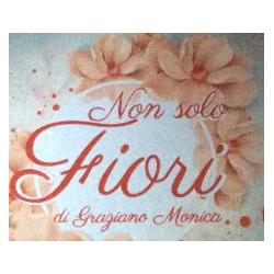 Non solo Fiori di Monica Graziano - Flower Designer, Polla orari di apertura