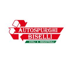 Autospurghi Biselli, Pontenure orari di apertura