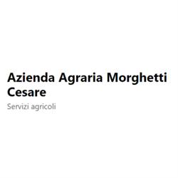 Azienda Agraria Morghetti Cesare, Todi orari di apertura