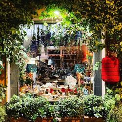 Simoncini Alessandro Interiors, Pietrasanta orari di apertura