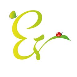 Esecuzione Verde Expo Green, Bari orari di apertura