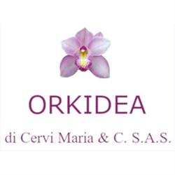 Orkidea Cervi Maria & C. Sas, Traversetolo orari di apertura