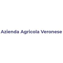 Cantina Agricola Veronese, Cinto Euganeo orari di apertura
