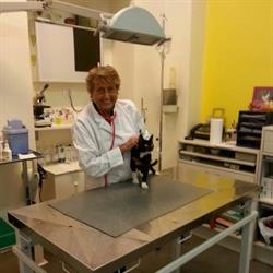 Ambulatorio veterinario Fiandra Patrizia, Torino orari di apertura