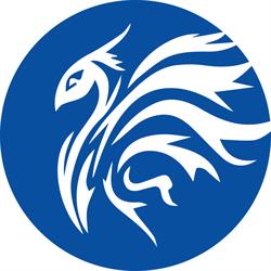 Centro Phoenix srl Psicologia, Neuropsicologia, Riabilitazione,Psicoterapia, Romano d'Ezzelino orari di apertura