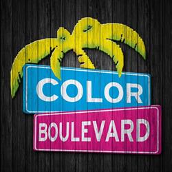 COLOR BOULEVARD di Galasso Marco, Occhiobello orari di apertura