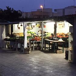 IL GIARDINO DELLE PRIMIZIE a OTRANTO, Otranto orari di apertura