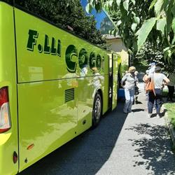 F.LLI COGOI S.A.S. DI NEVIO COGOI & C., San Vito al Torre orari di apertura