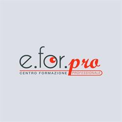 E. FOR. PRO S.R.L., Villaricca orari di apertura