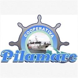 COOPERATIVA PILAMARE ORGANIZZAZIONE DI PRODUTTORI SOCIETA' COOPERATIVA, Porto Tolle orari di apertura