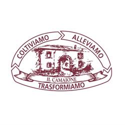 SOCIETA' AGRICOLA DANESI F.LLI S.S., Ospitaletto orari di apertura