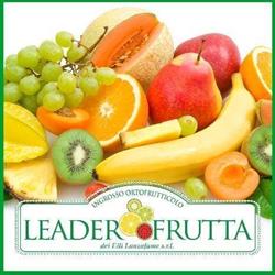 LEADER FRUTTA DEI F.LLI LANZAFAME S.R.L., Giarre orari di apertura
