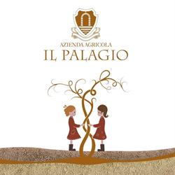 Azienda Agricola Il Palagio di Panzano - CELLAR, orari di apertura