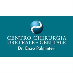 Palminteri Dott. Enzo Maria Filippo, Torino orari di apertura