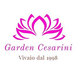 Garden Cesarini, Vetralla orari di apertura